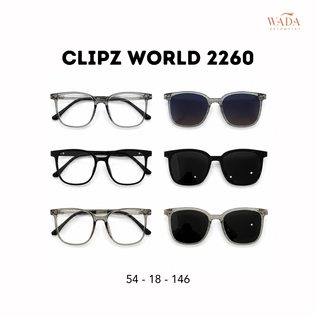 Clip On Clipz World 2260