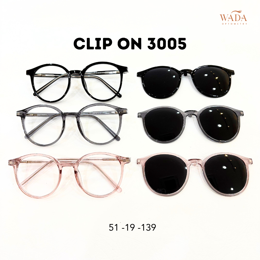 Clip On 3005